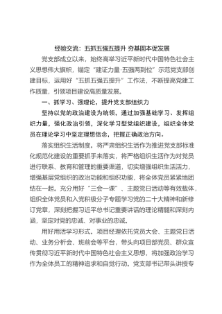 经验交流：五抓五强五提升 夯基固本促发展