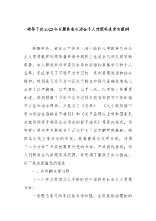 领导干部2023年专题民主生活会个人对照检查发言提纲