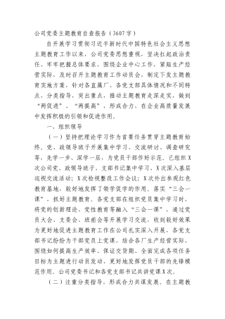 国企主题教育自查报告