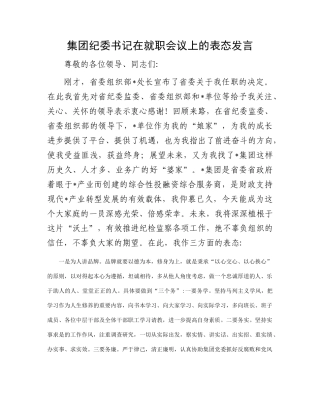 集团纪委书记在就职会议上的表态发言(1)