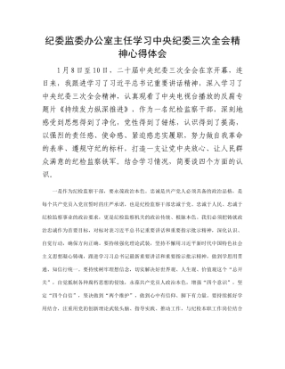 纪委监委办公室主任学习中央纪委三次全会精神心得体会(1)