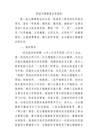 街道主题教育自查报告（6400字总结）