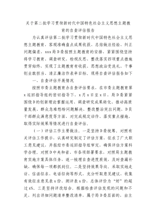 关于第二批学习贯彻新时代中国特色社会主义思想主题教育的自查评估报告