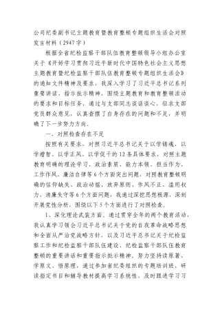 国企纪委副书记主题教育暨教育整顿专题组织生活会对照发言材料