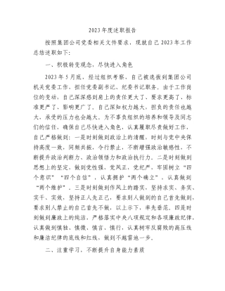 国企纪委书记2023年度述职报告4200字