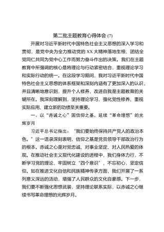 第二批主题教育心得体会 (7)【优】