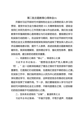 第二批主题教育心得体会 (9)【优】