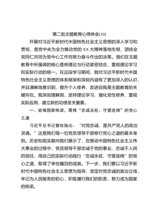 第二批主题教育心得体会 (10)【优】