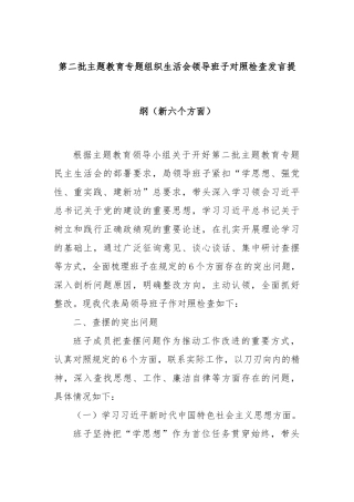 第二批主题教育专题组织生活会领导班子对照检查发言提纲（新六个方面）