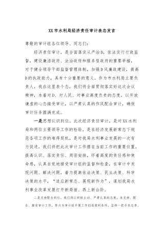 XX市水利局经济责任审计表态发言