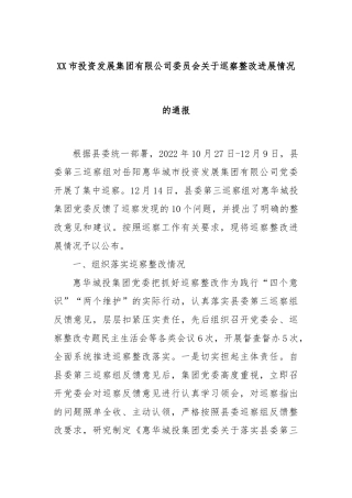 XX市投资发展集团有限公司委员会关于巡察整改进展情况的通报