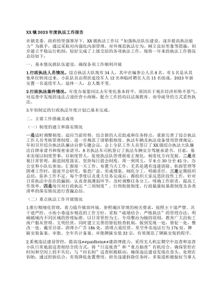 xx镇2023年度执法工作报告(1)