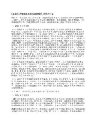X县2023年爱国卫生工作总结和2024年工作计划