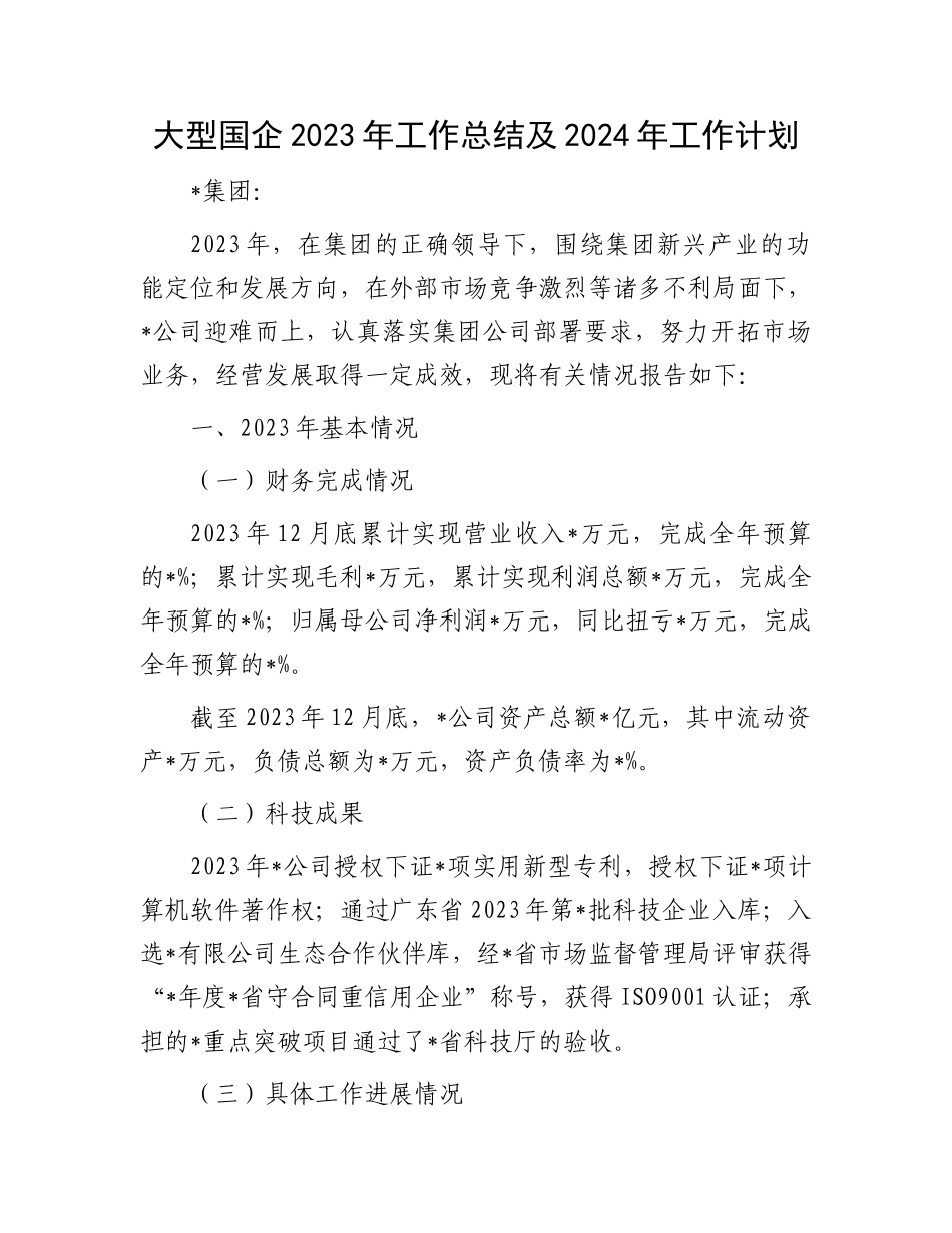 大型国企2023年工作总结及2024年工作计划_第1页