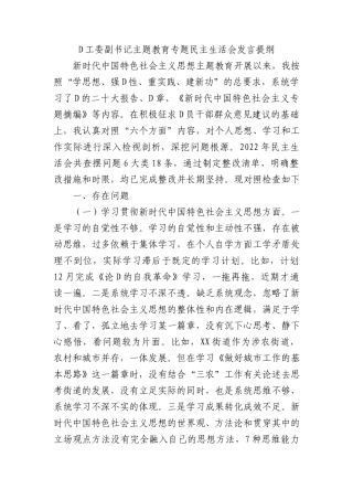 党工委副书记主题教育专题民主生活会发言提纲 (1)