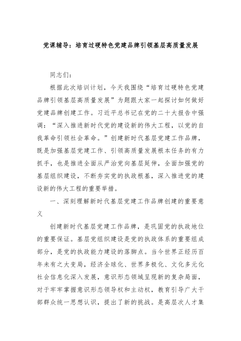 党课辅导：培育过硬特色党建品牌引领基层高质量发展_第1页