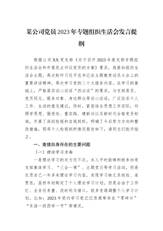 某公司党员2023年专题组织生活会发言提纲