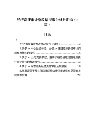 经济责任审计整改情况报告材料汇编（5篇）