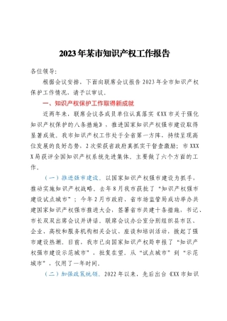 2023年X市知识产权工作报告