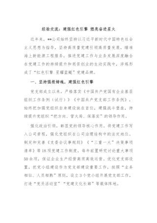 经验交流：建强红色引擎 燃亮奋进星火