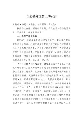 在全县务虚会上的发言
