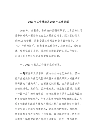 2023年工作总结及2024年工作计划 (2)