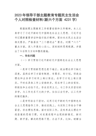 2023年领导干部主题教育专题民主生活会个人对照检查材料(新六个方面 )
