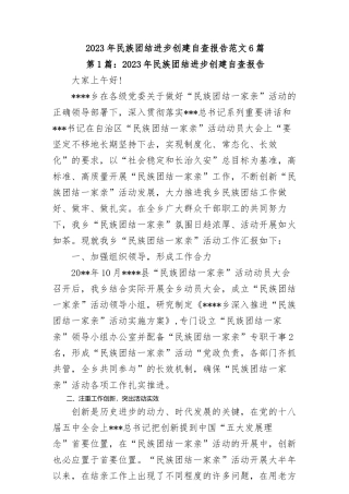 2023年民族团结进步创建自查报告范文六篇