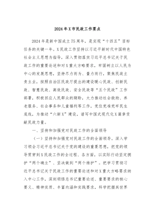 2024年X市民政工作要点