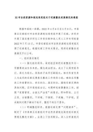 XX市自然资源和规划局党组关于巡察整改进展情况的通报