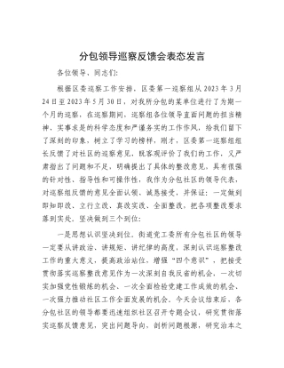 分包领导巡察反馈会表态发言