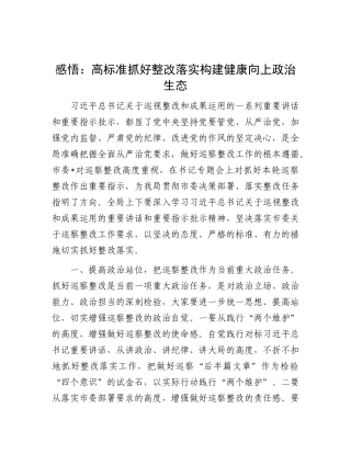感悟：高标准抓好整改落实  构建健康向上政治生态
