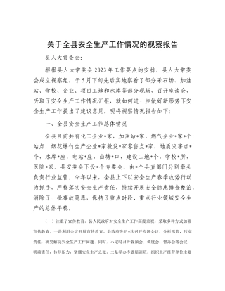 关于全县安全生产工作情况的视察报告