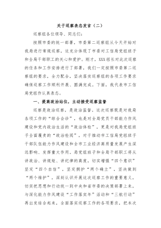 关于巡察表态发言（二）