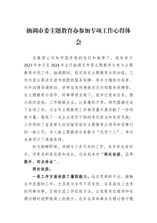 抽调市委主题教育办参加专项工作心得体会