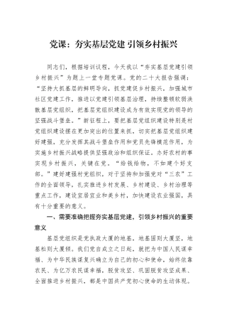 党课：夯实基层党建+引领乡村振兴