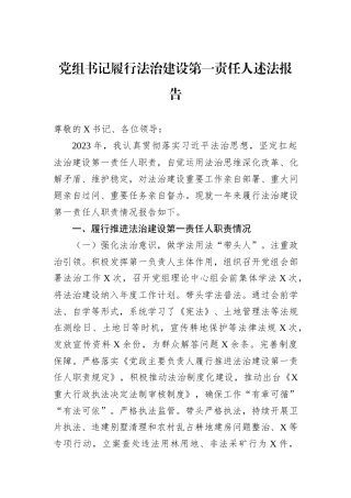 党组书记履行法治建设第一责任人述法报告