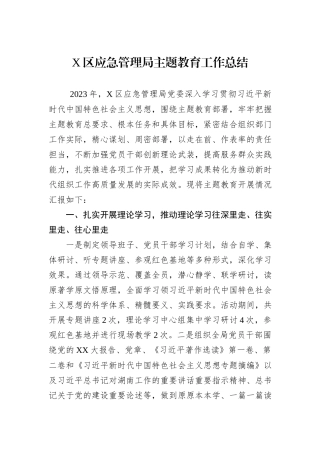 X区应急管理局主题教育工作总结