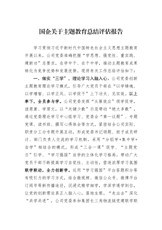 国企关于主题教育总结评估报告