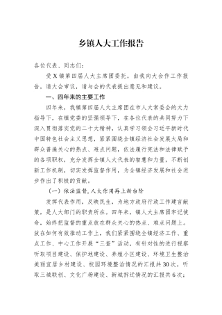 乡镇人大工作报告