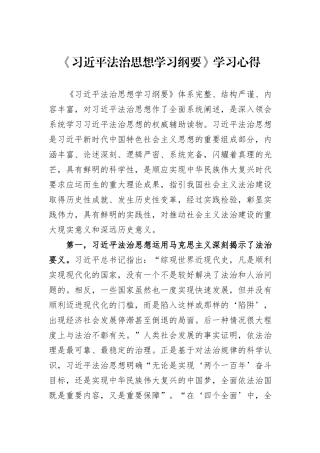 《习近平法治思想学习纲要》学习心得 (1)
