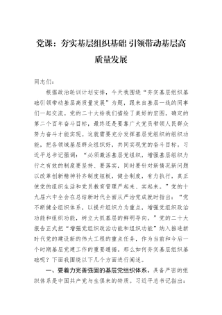 党课：夯实基层组织基础+引领带动基层高质量发展