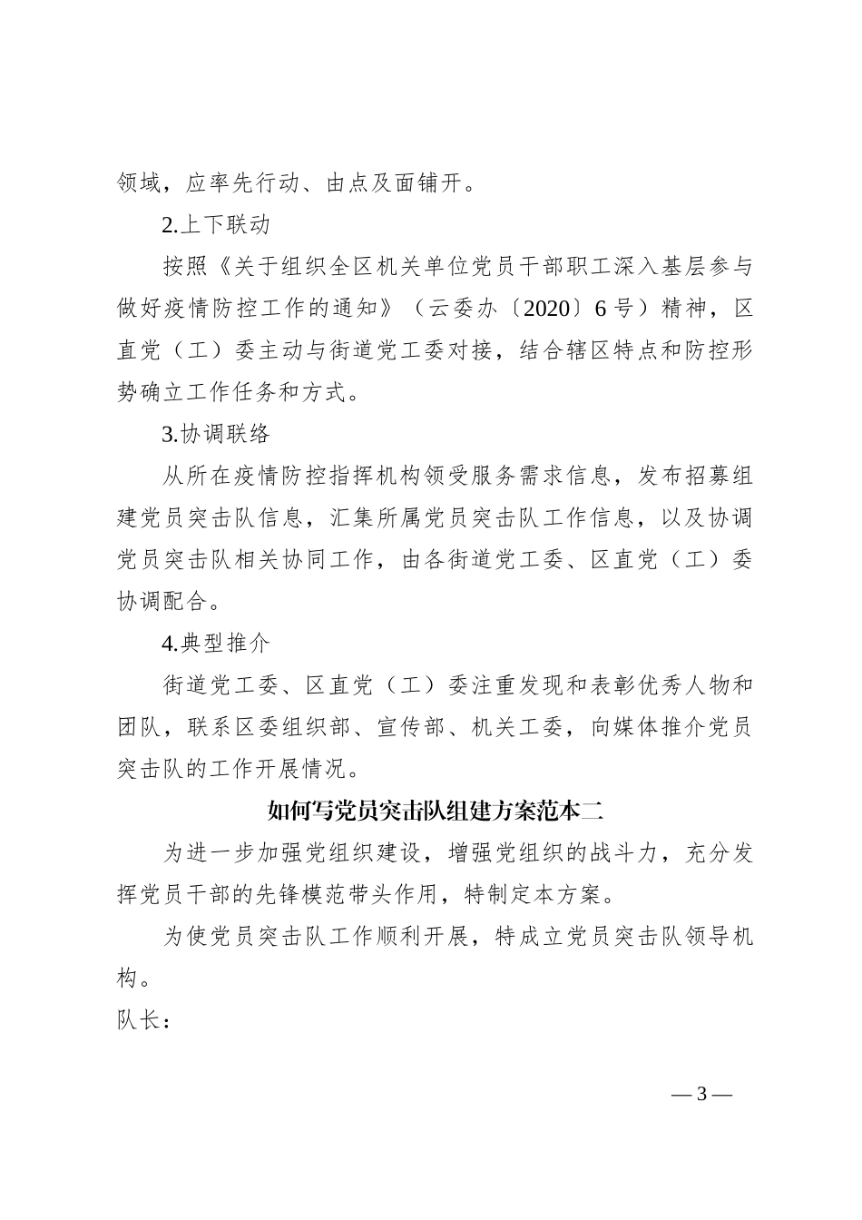 （8篇）有关党员突击队组建方案材料汇编_第3页