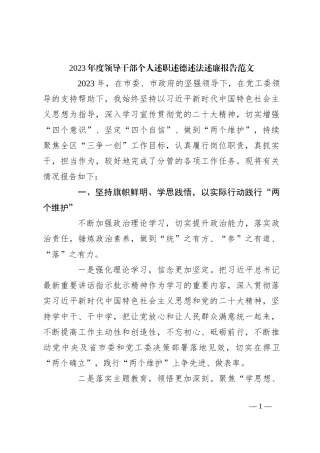 2023年度领导干部个人述职述德述法述廉报告范文
