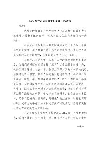 2024年在市委农村工作会议上的发言稿