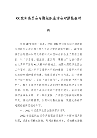 XX支部委员会专题组织生活会对照检查材料
