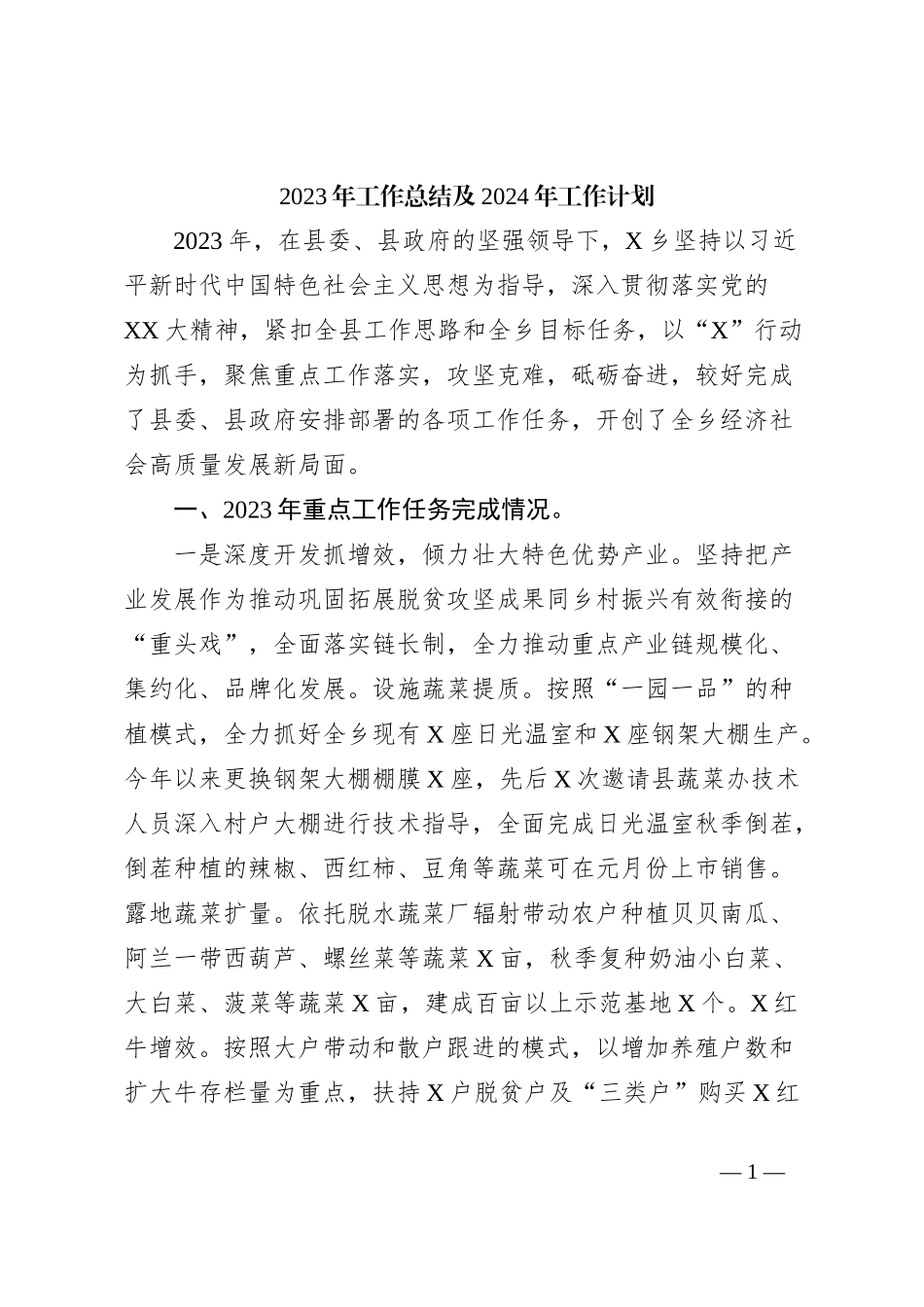 2023年工作总结及2024年工作计划 (2)_第1页