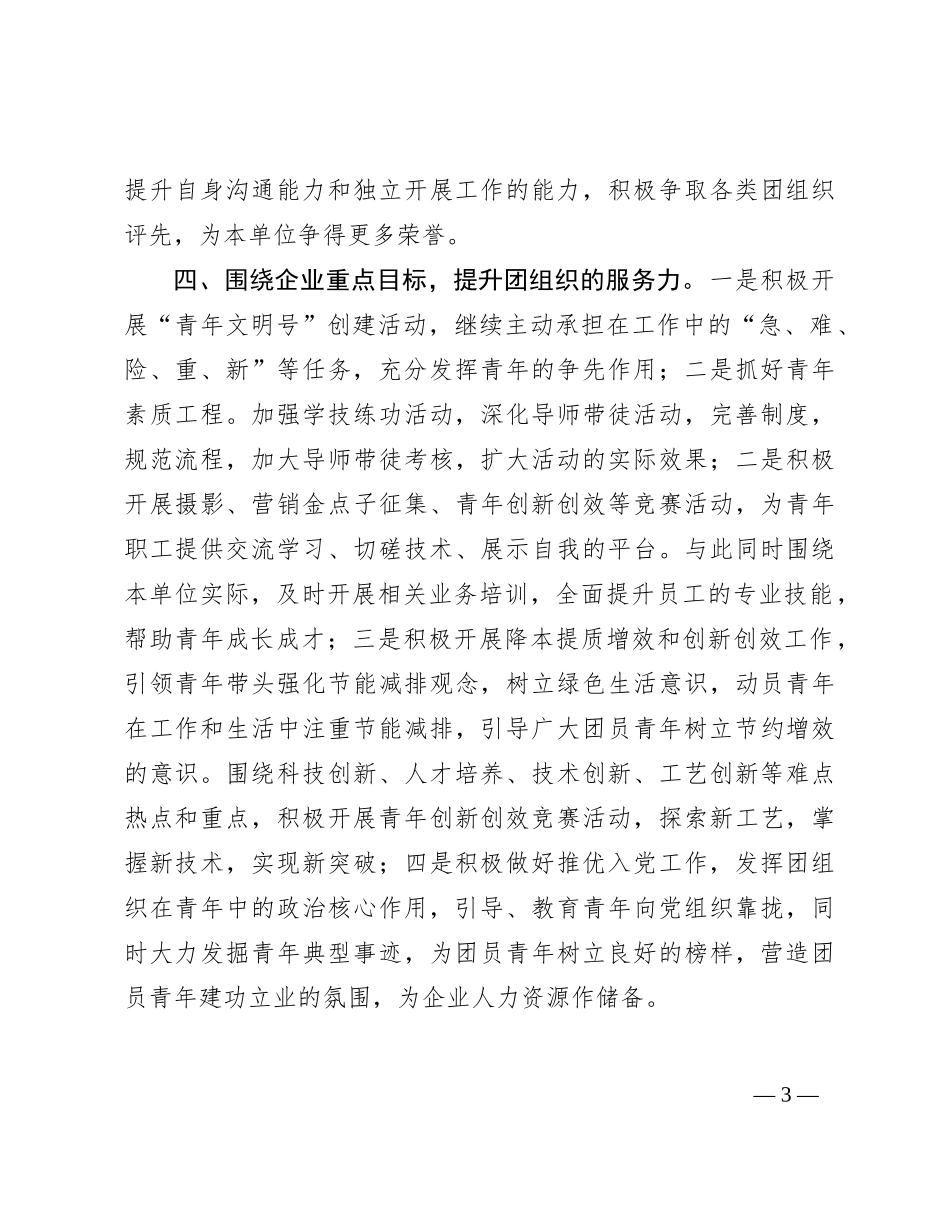 2024年度共青团工作计划要点1600字_第3页