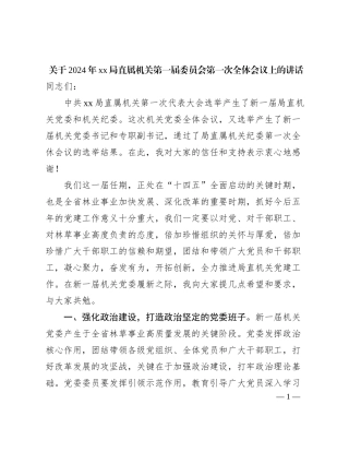 关于2024年xx局直属机关第一届委员会第一次全体会议上的讲话