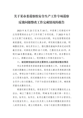 关于某市委巡察组安全生产工作专项巡察反馈问题整改工作完成情况的报告